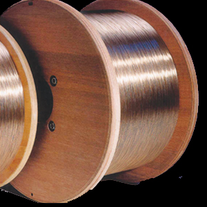 Big Wood Axis(D630)